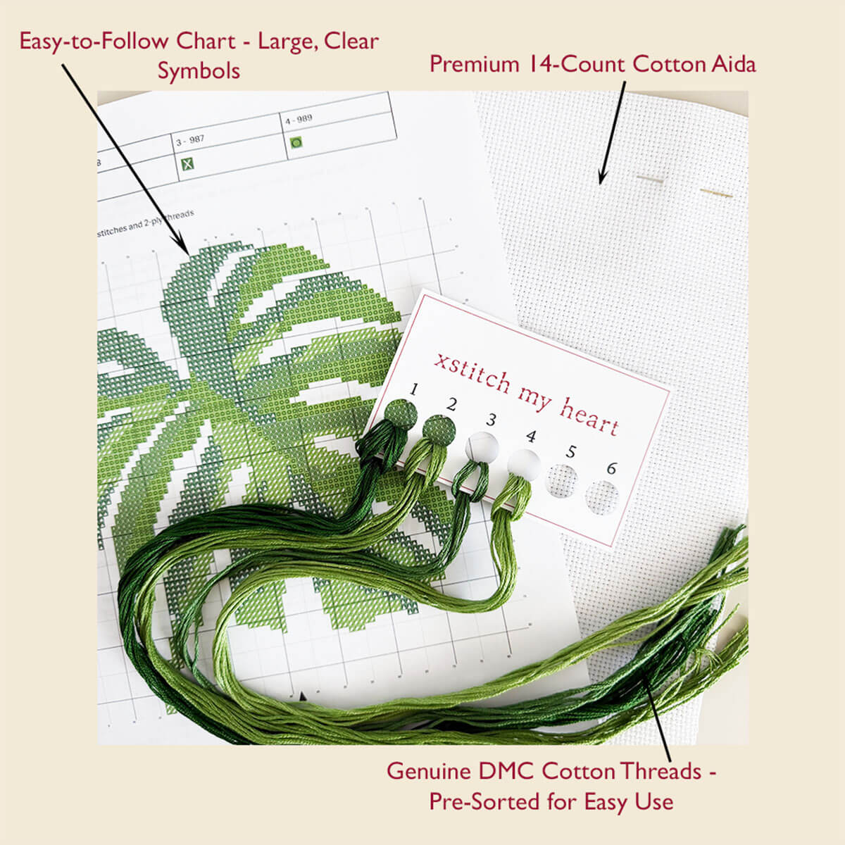 Complete Monstera cross stitch kit content with DMC threads, 14-count Aida, printed chart, and thread organizer by XStitch My Heart.
