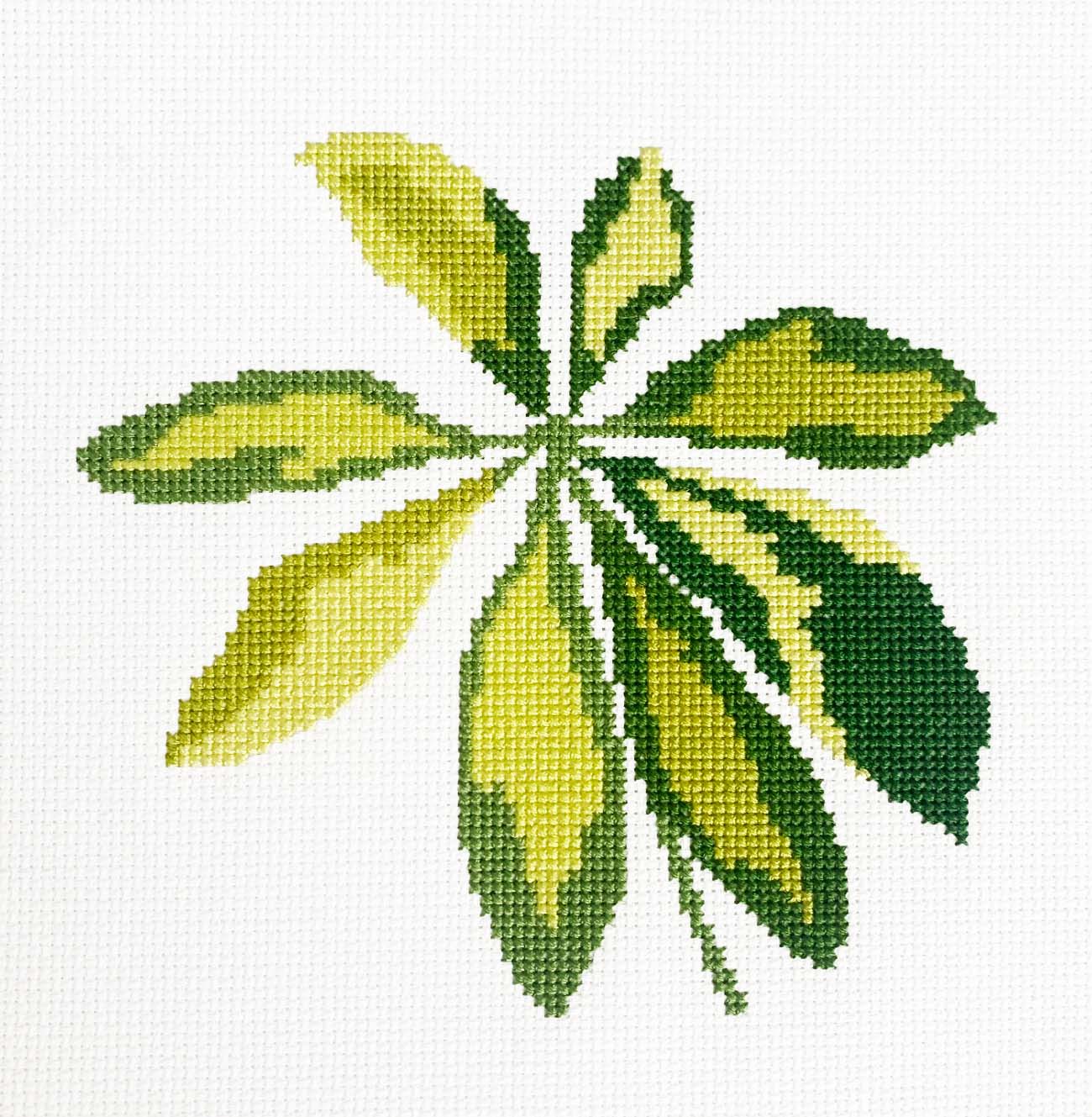 Schefflera - Counted Cross Stitch Kit