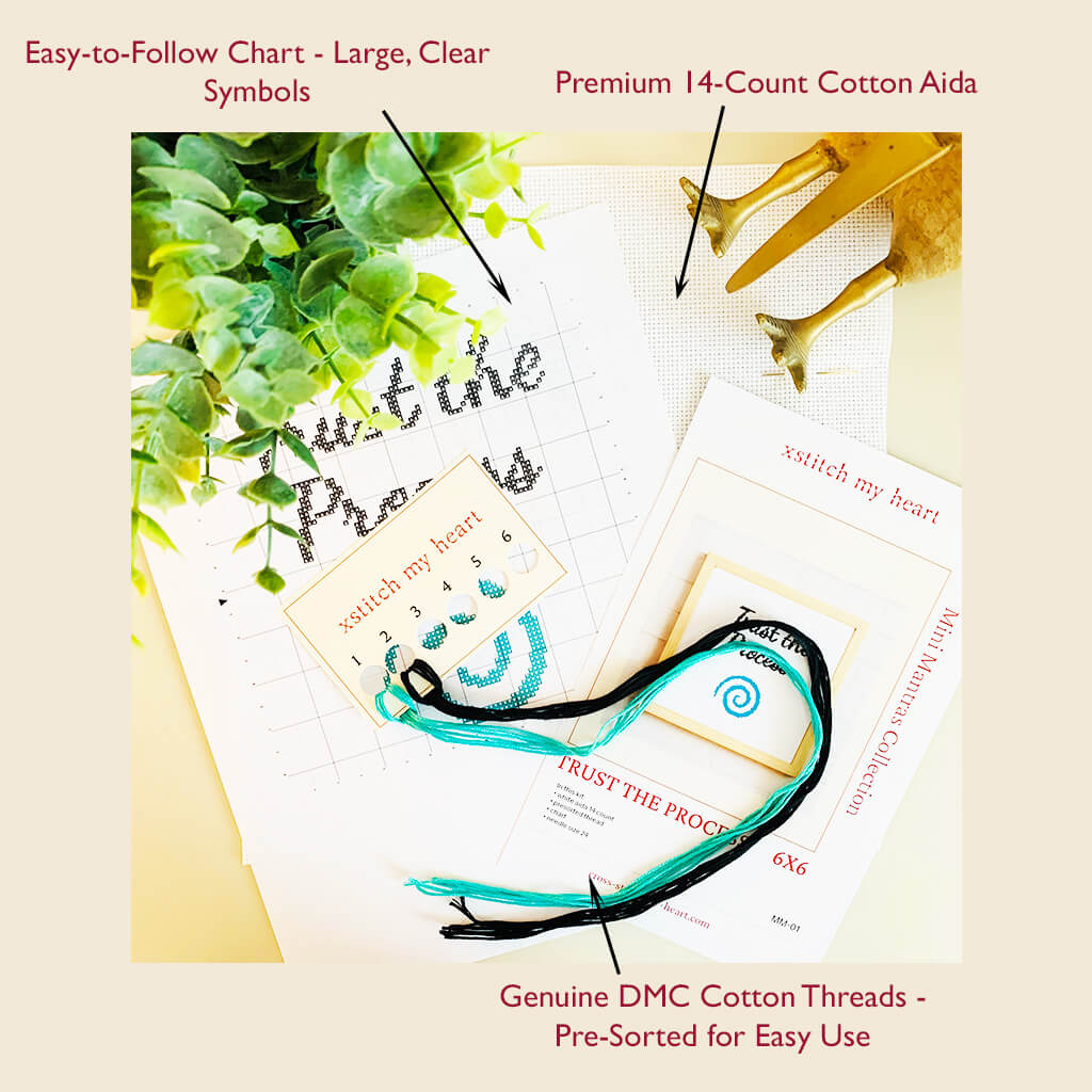Trust the Process - Counted Cross Stitch Kit