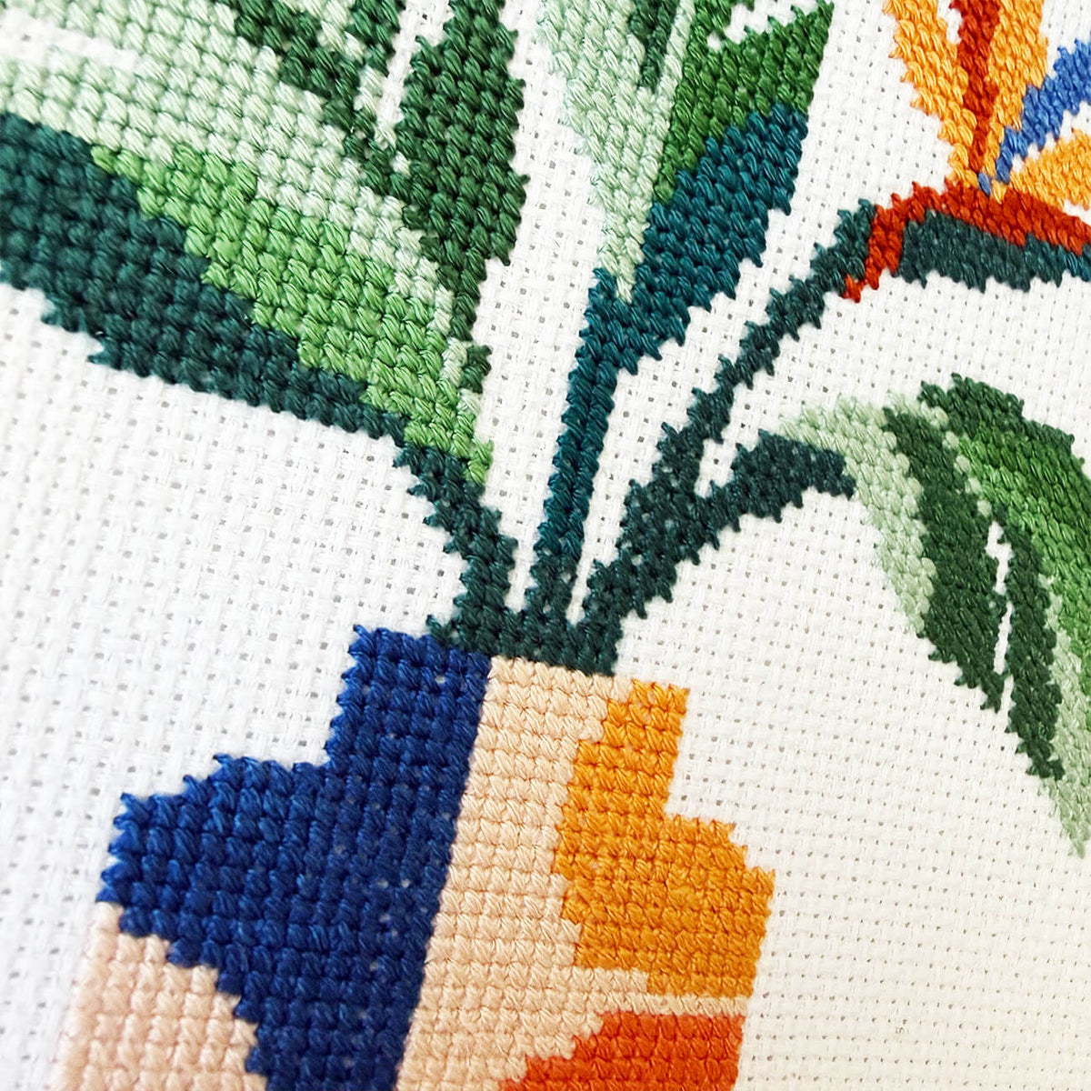 Close-up of a colorful cross-stitch pattern on white Aida fabric, featuring green leaves, a blue and orange flower, and green stems.