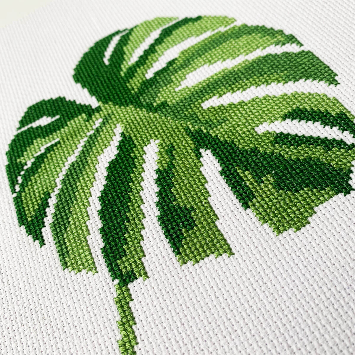 Monstera Digital Chart