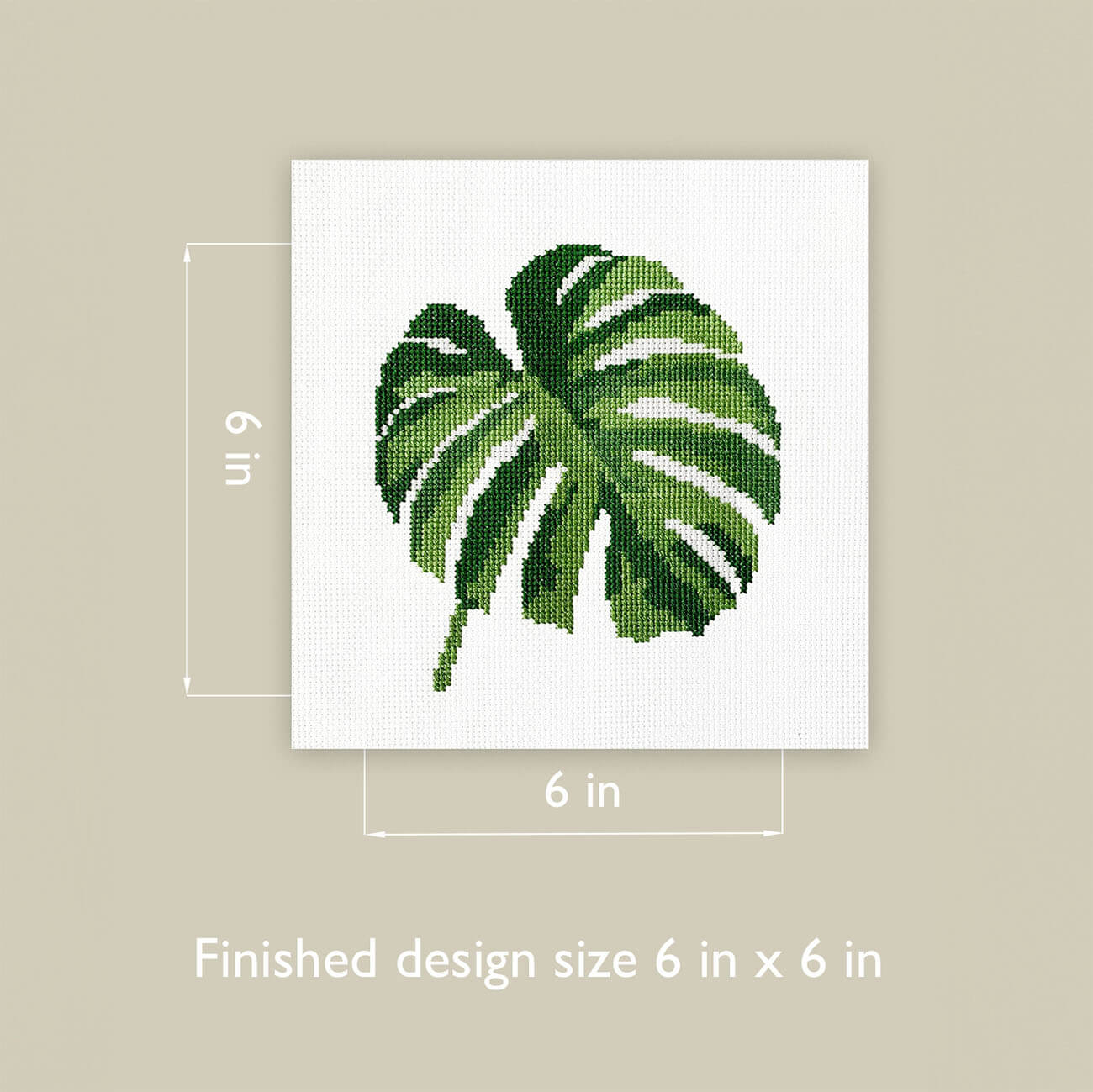 Monstera Digital Chart