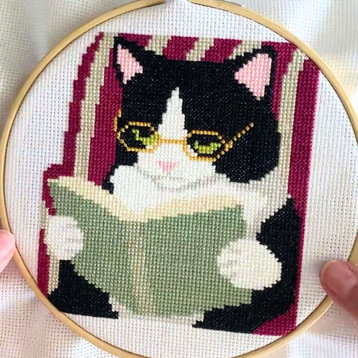 Reading Tuxedo Cat Beginner Cross Stitch Kit