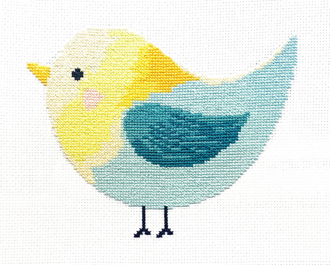 Shy Bird - Digital Chart